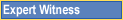 Expert Witness